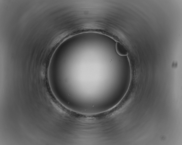 X0000091470833200708161357