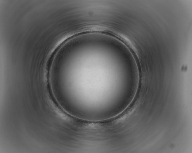 X0000091470835200708161357