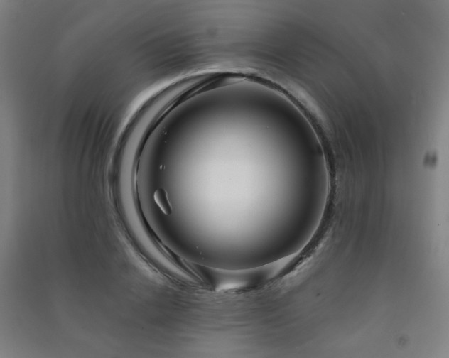 X0000091470838200708161357