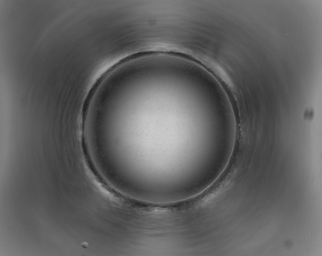 X0000091470839200708161357