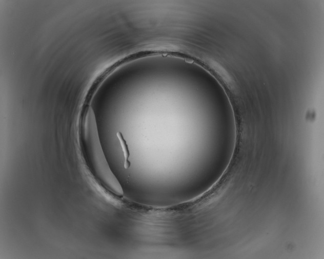 X0000091470840200708161357