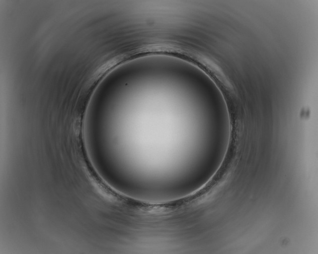 X0000091470841200708161357