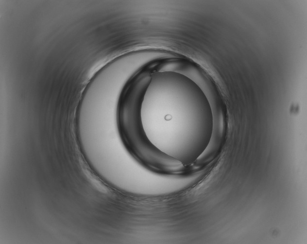 X0000091470842200708161357