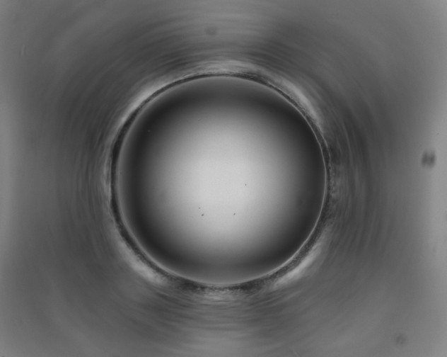 X0000091470843200708161357