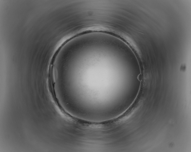 X0000091470845200708161357