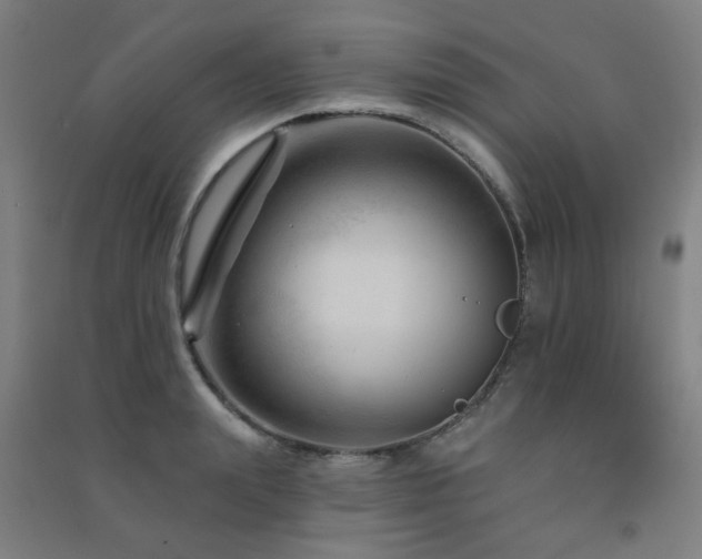 X0000091470847200708161357