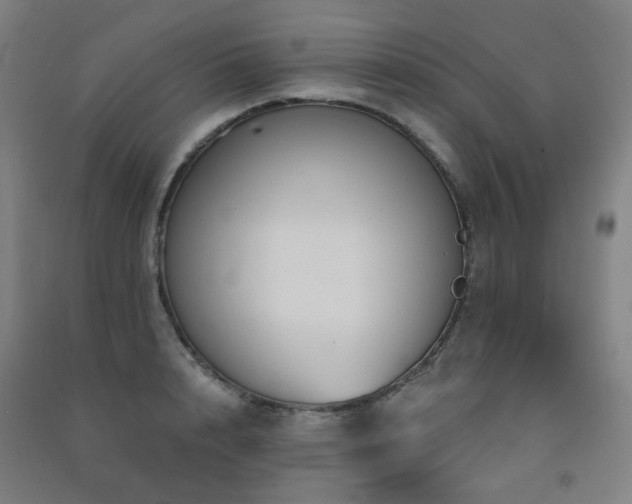X0000091470848200708161357