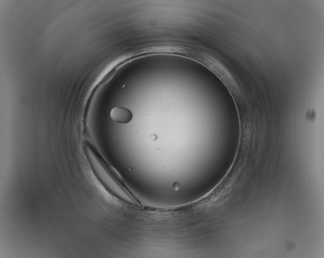 X0000091470852200708161357