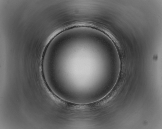 X0000091470853200708161357