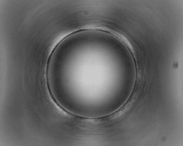 X0000091470855200708161357