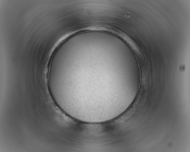 X0000091470856200708161357