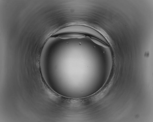 X0000091470857200708161357