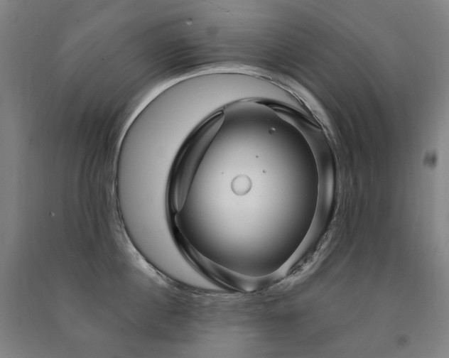X0000091470860200708161357