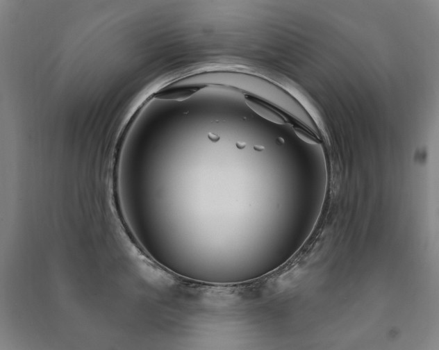 X0000091470861200708161357