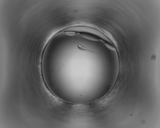 X0000091470863200708161357