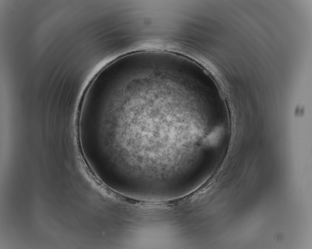 X0000091470864200708161357