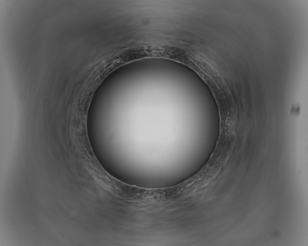 X0000091470865200708161357