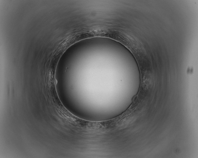 X0000091470866200708161357