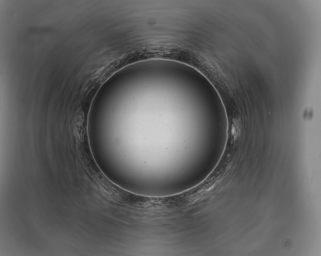 X0000091470867200708161357