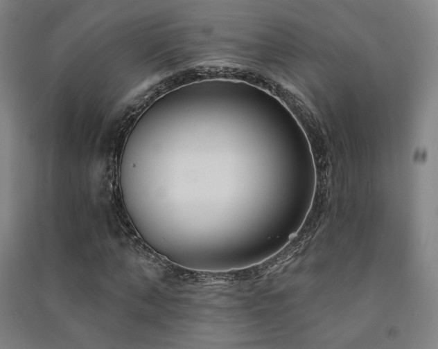 X0000091470870200708161357