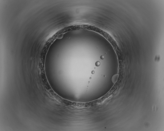 X0000091470871200708161357