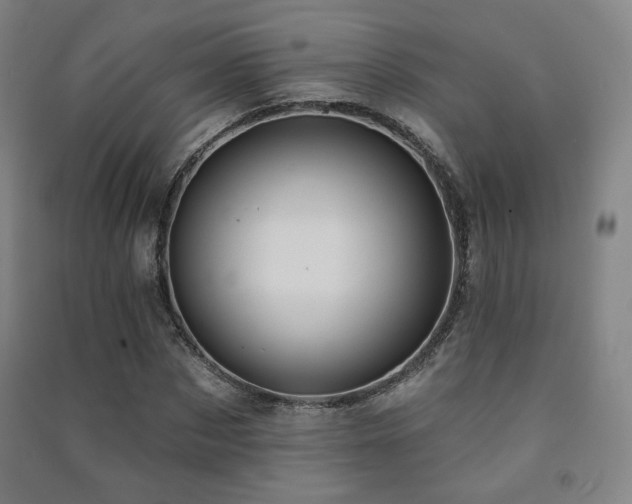 X0000091470873200708161357