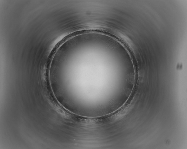 X0000091470875200708161357