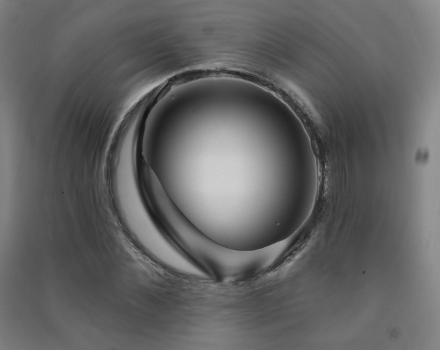 X0000091470876200708161357