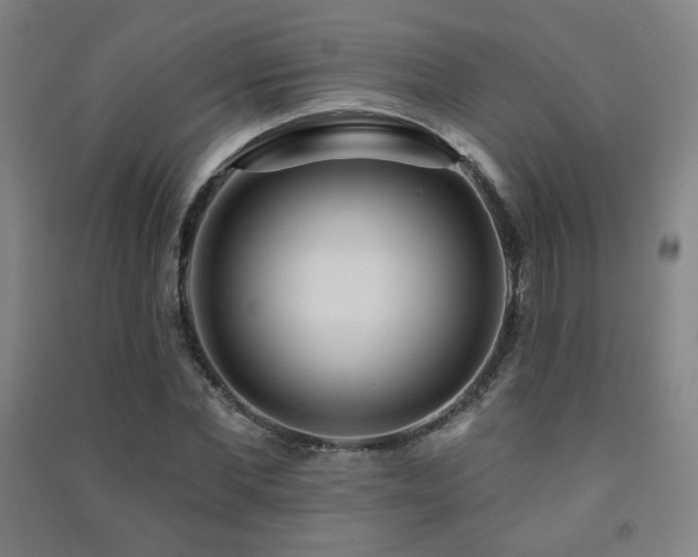 X0000091470877200708161357