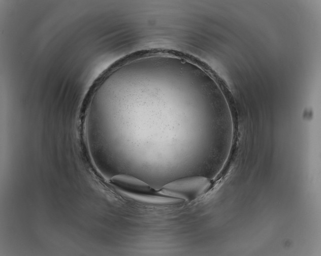 X0000091470879200708161356