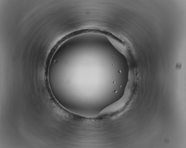 X0000091470880200708161356