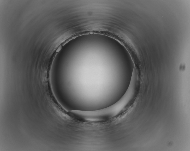 X0000091470881200708161356