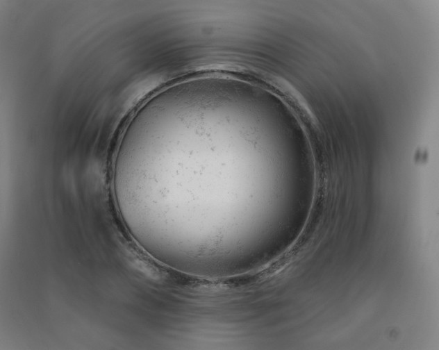 X0000091470882200708161356