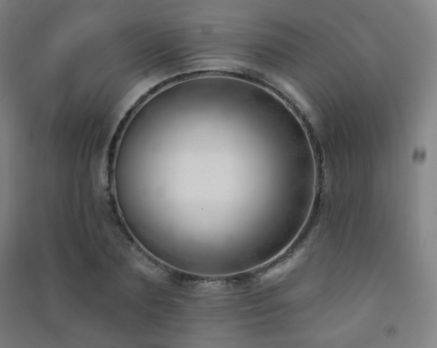 X0000091470883200708161356