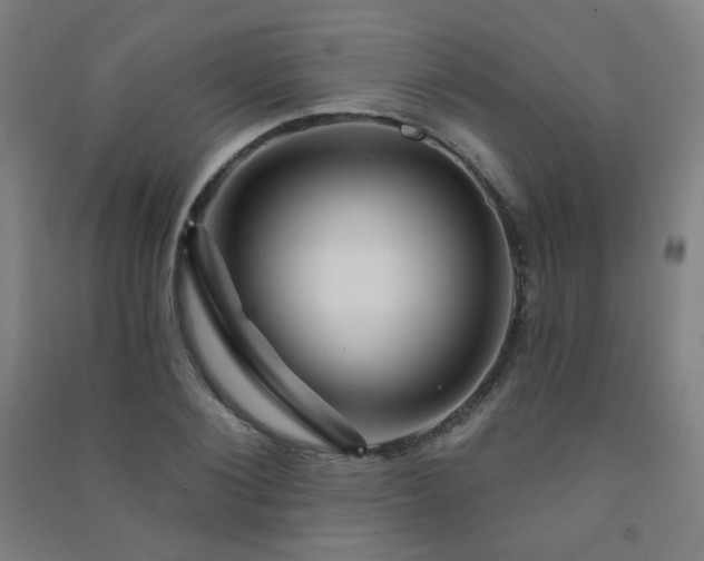 X0000091470884200708161356