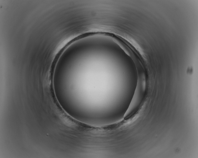 X0000091470885200708161356