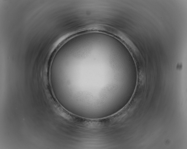 X0000091470886200708161356