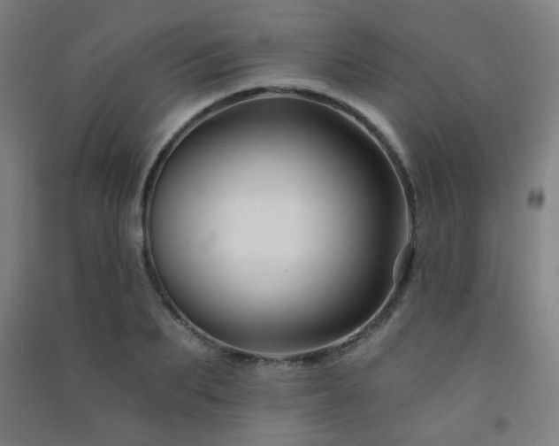 X0000091470887200708161356