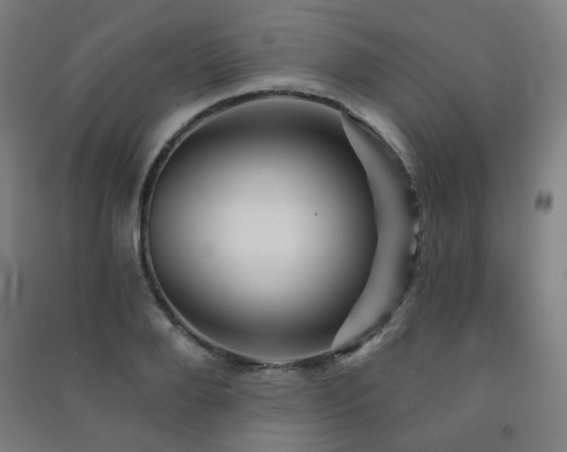 X0000091470888200708161356