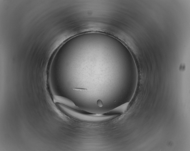 X0000091470890200708161356