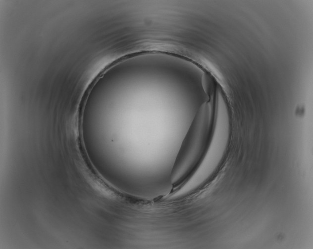 X0000091470891200708161356
