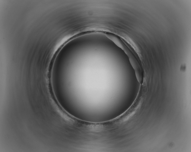 X0000091470893200708161356