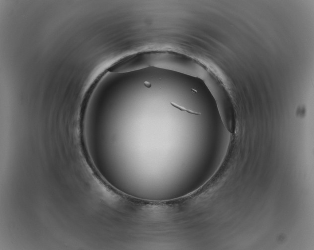 X0000091470894200708161356