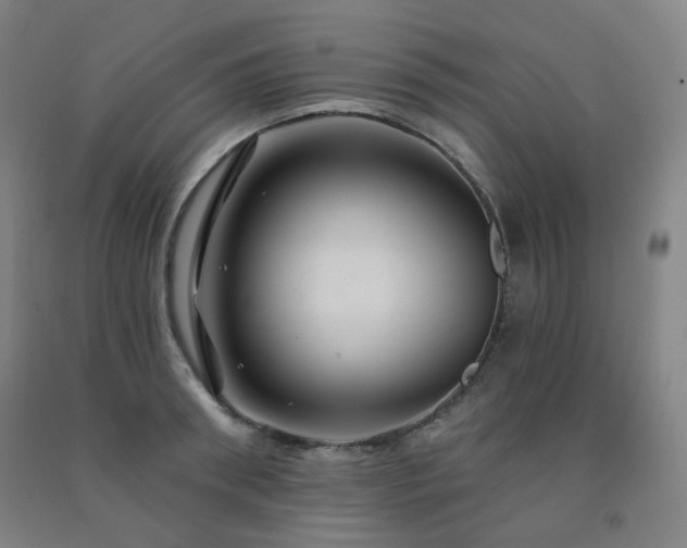 X0000091470898200708161356