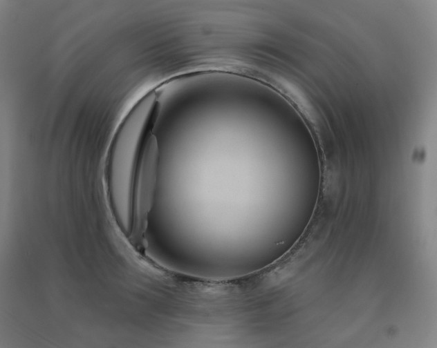 X0000091470899200708161356