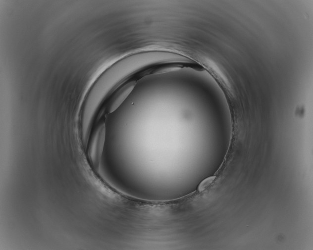 X0000091470900200708161356