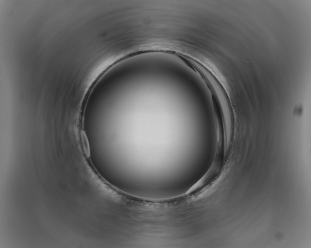 X0000091470901200708161356