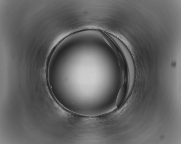 X0000091470902200708161356