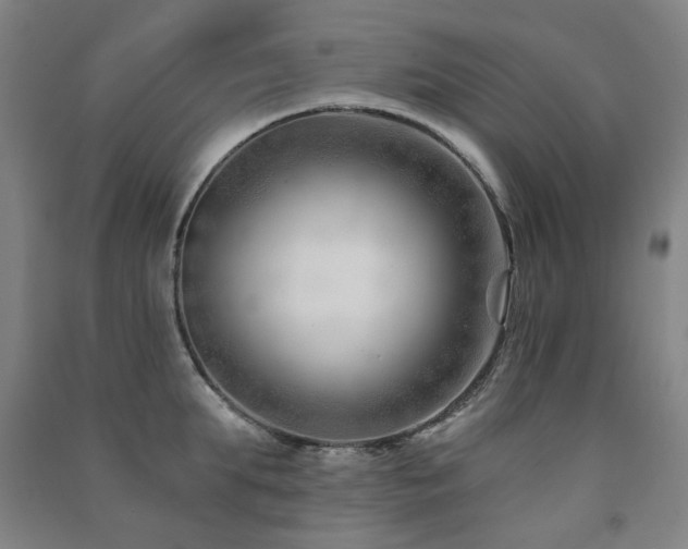 X0000091470903200708161356