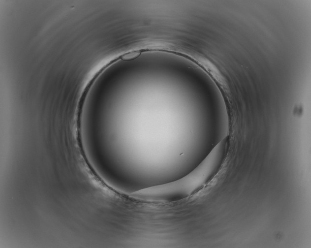 X0000091470904200708161356